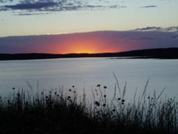 Winter in the Sandhills - Courtesy J. Ducey