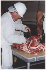 Cutting Meat