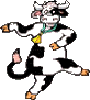 Dancing Cow