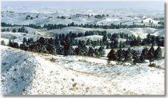 Winter in the Sandhills - Courtesy J. Ducey