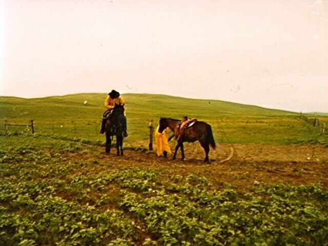 Cowboy.jpg (36979 bytes)